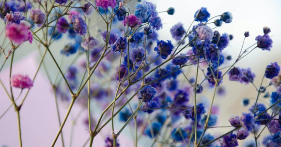 Aging Gracefully: Why “Anti-Aging” Is Outdated and “Longevity” Is In