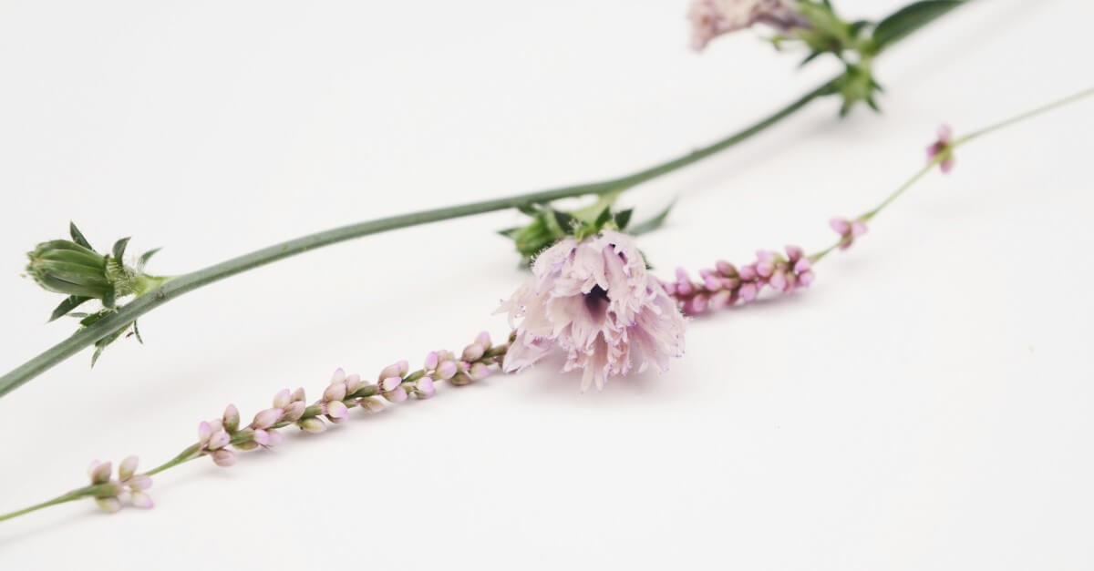 5 Ways to Boost Skin Elasticity After 40 (And Why it Matters)