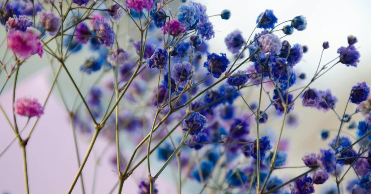 Aging Gracefully: Why “Anti-Aging” Is Outdated and “Longevity” Is In