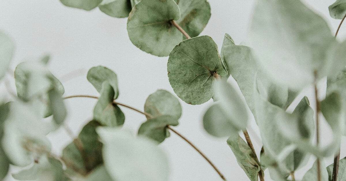 The Best Skincare for Different Skin Types After 40